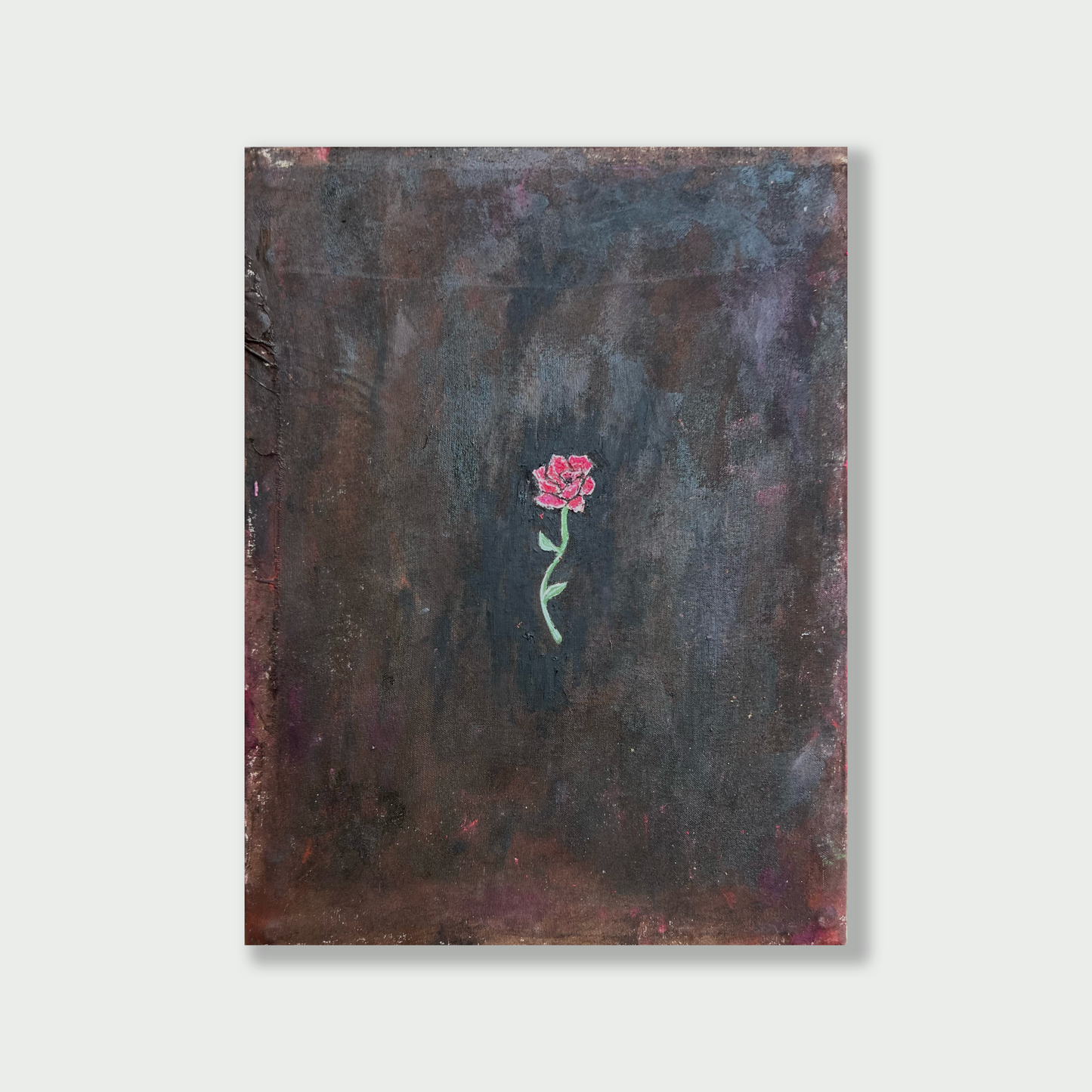 Rose on Mud